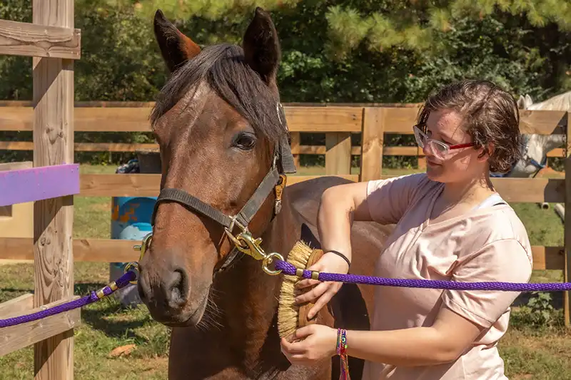 youth brushing a horse